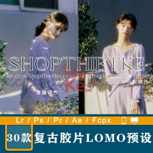 30 Tone Màu Film HongKong Cổ Điển Nhẹ Nhàng (XMP/DNG/CUBE)