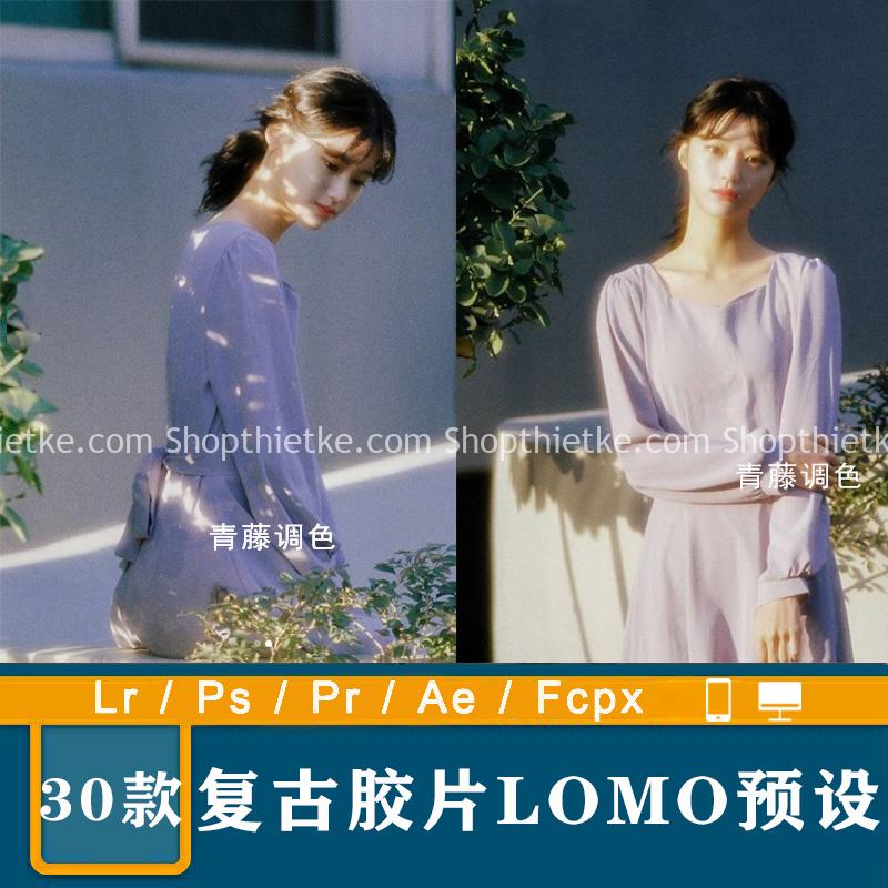 30 phim ảnh retro LOMO cài sẵn LR chân dung mờ ảo VN filter AE / PR Da Vinci FCPX / PS color LUTs cài đặt trước