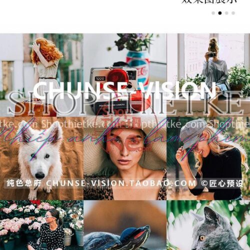 4 Tone Màu Dựa Trên Cảm Hứng Màu Fuji Film (XMP/LR/DNG/CUBE)