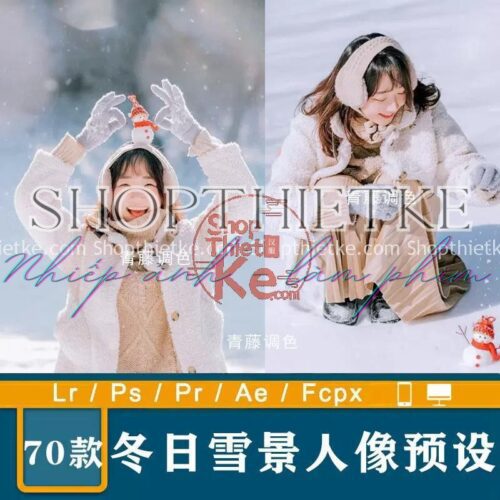 70 Tone Màu Trong Trẻo Thích Hợp Ảnh Mùa Đông Outdoor (XMP/DNG/CUBE)