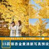 15 Tone Màu Vàng Ấm Áp Thích Hợp Ảnh Outdoor Ngày Thu (XMP/DNG/CUBE) 2 shopthietke com Pasted 2