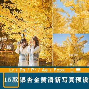 15 Tone Màu Vàng Ấm Áp Thích Hợp Ảnh Outdoor Ngày Thu (XMP/DNG/CUBE)