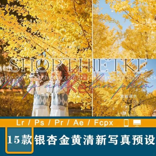 15 Tone Màu Vàng Ấm Áp Thích Hợp Ảnh Outdoor Ngày Thu (XMP/DNG/CUBE)