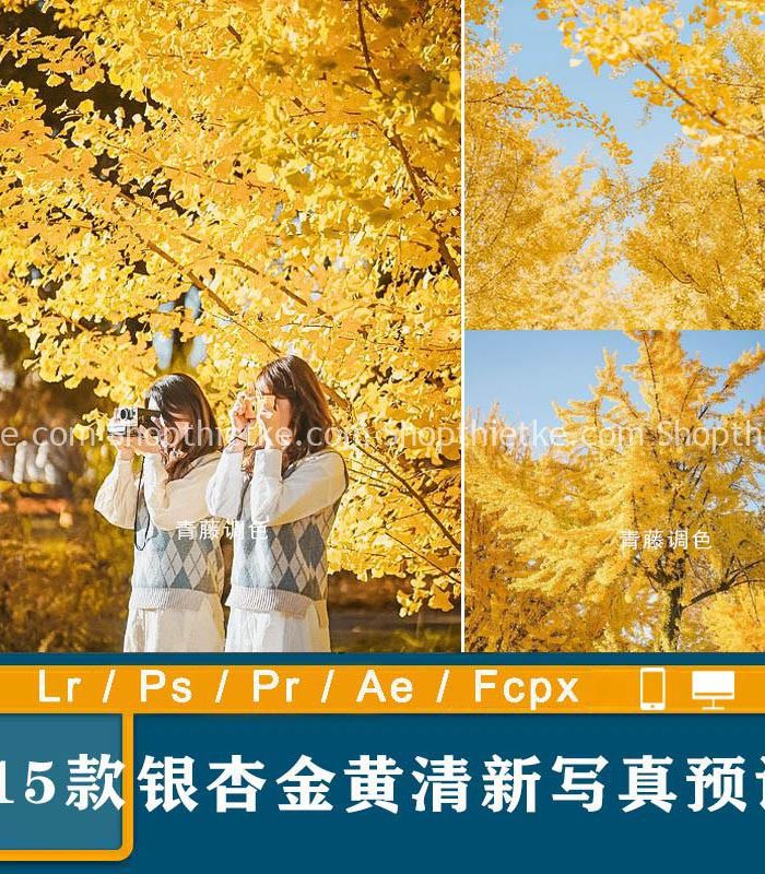 Trang chủ 318 15 Tone Màu Vàng Ấm Áp Thích Hợp Ảnh Outdoor Ngày Thu (XMP/DNG/CUBE)