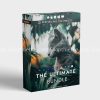 H&V Presets - The Ultimate Preset Bundle (XMP/DNG/LUTs) 1 shopthietke com Pasted 12