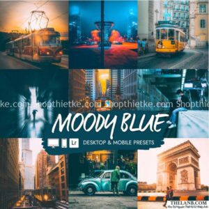 15 Tone Màu Xanh Tâm Trạng – Thích Hợp Ảnh Đường Phố, Phóng Sự (XMP/DNG)