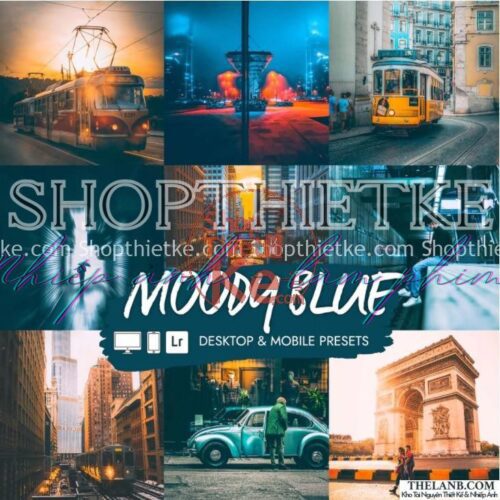 15 Tone Màu Xanh Tâm Trạng – Thích Hợp Ảnh Đường Phố, Phóng Sự (XMP/DNG)