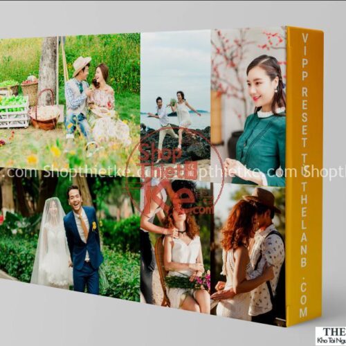 Blend Màu Ảnh Với Hệ Thống Preset Bao Gồm 04 Bước Chỉnh Sửa (XMP)