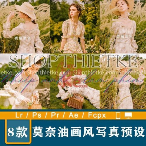 8 Phong Cách Sơn Dầu Monet Phim Pháp Mới Nhất 2022 (XMP/DNG/CUBE)