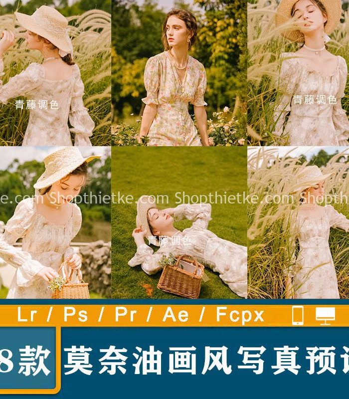 8 Phong Cách Sơn Dầu Monet Phim Pháp Mới Nhất 2022 (XMP/DNG/CUBE)