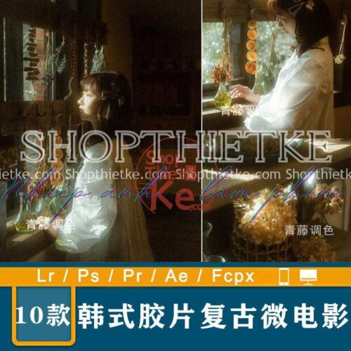 10 Preset Tạo Hiệu Ứng Film Cổ Điển Thích Hợp Ảnh Ánh Sáng Nhẹ Nhàng (XMP/DNG/CUBE)