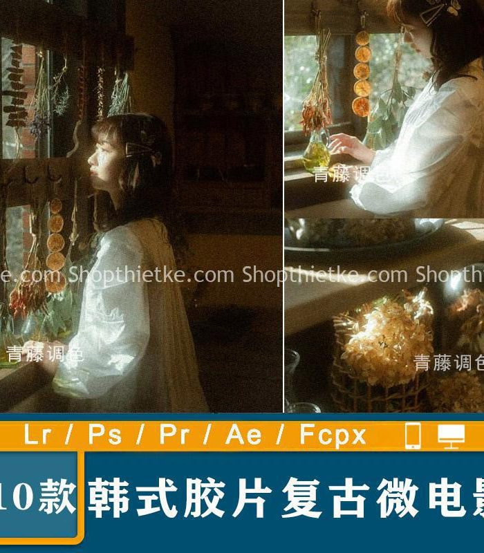 10 Preset Tạo Hiệu Ứng Film Cổ Điển Thích Hợp Ảnh Ánh Sáng Nhẹ Nhàng (XMP/DNG/CUBE)