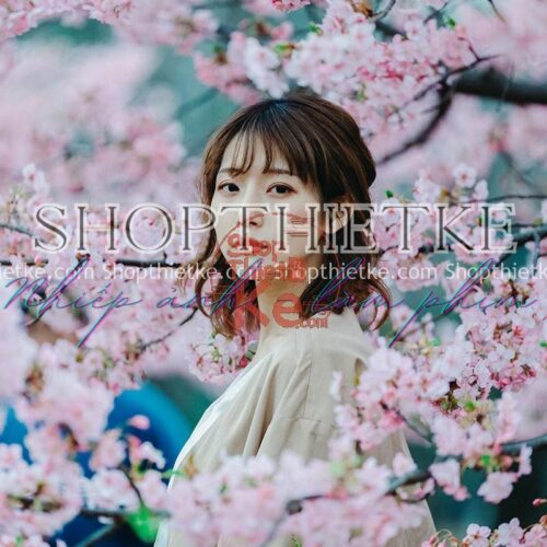 15 Tone Màu Kodak Fujitsu Trong Suốt Sáng Trắng Phong Cách Nhật Bản (XMP/DNG/CUBE)