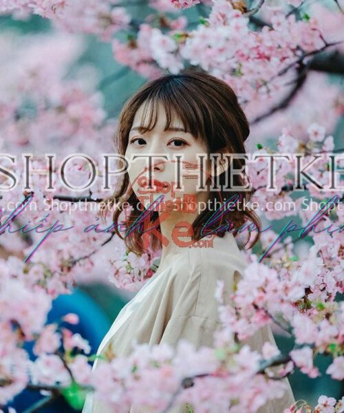 15 Tone Màu Kodak Fujitsu Trong Suốt Sáng Trắng Phong Cách Nhật Bản (XMP/DNG/CUBE)