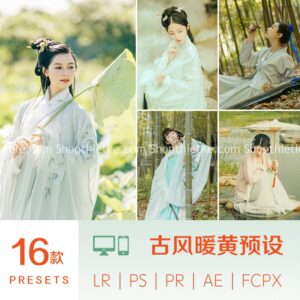 16 Tone Màu Cổ Trang Đặc Biệt Từ China Thích Hợp Concept Hán Phục (XMP/LR/DNG/CUBE)
