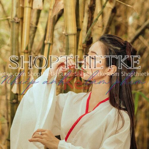 16 Tone Màu Cổ Trang Đặc Biệt Từ China Thích Hợp Concept Hán Phục (XMP/LR/DNG/CUBE)