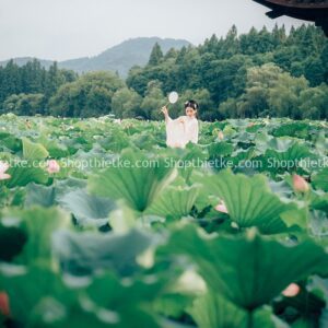 15 Tone Màu Xanh Nhẹ Nhàng Thích Hợp Concept Cổ Trang Và Ao Sen (XMP/LR/DNG/CUBE Kèm Khói)