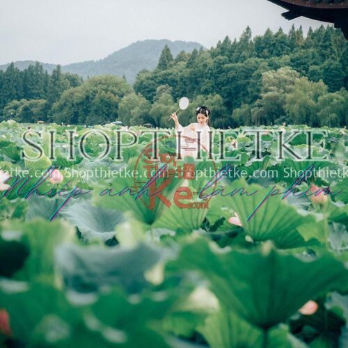 15 Tone Màu Xanh Nhẹ Nhàng Thích Hợp Concept Cổ Trang Và Ao Sen (XMP/LR/DNG/CUBE Kèm Khói)