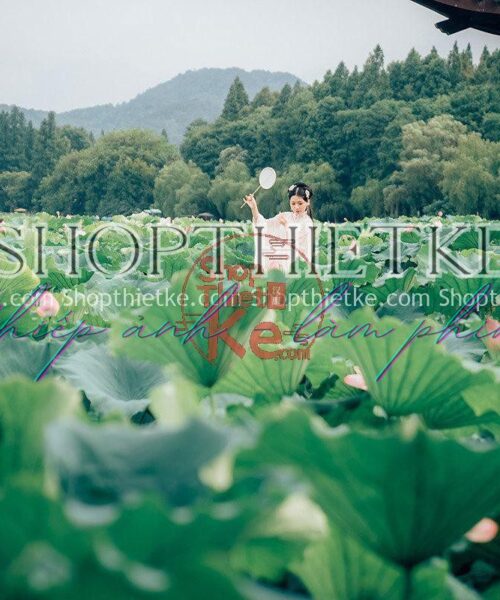 15 Tone Màu Xanh Nhẹ Nhàng Thích Hợp Concept Cổ Trang Và Ao Sen (XMP/LR/DNG/CUBE Kèm Khói)