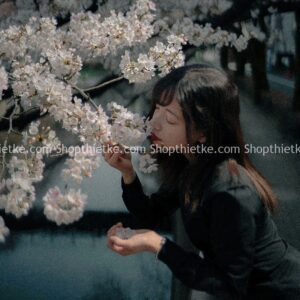 23 Tone Màu Phim Cổ Điển Kiểu Pháp Phù Hợp Nhiều Thể Loại Ảnh Châu Á (XMP/DNG/CUBE)