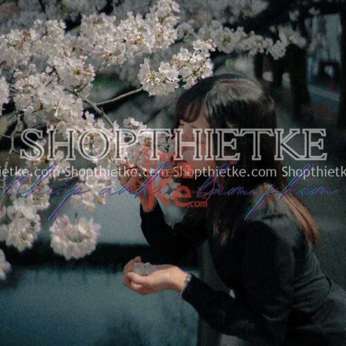 23 Tone Màu Phim Cổ Điển Kiểu Pháp Phù Hợp Nhiều Thể Loại Ảnh Châu Á (XMP/DNG/CUBE)