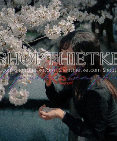 23 Tone Màu Phim Cổ Điển Kiểu Pháp Phù Hợp Nhiều Thể Loại Ảnh Châu Á (XMP/DNG/CUBE)