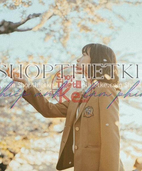 24 Tone Màu Film Retro Cổ Điển Phong Cách Tạp Chí Poco (XMP/DNG/CUBE)