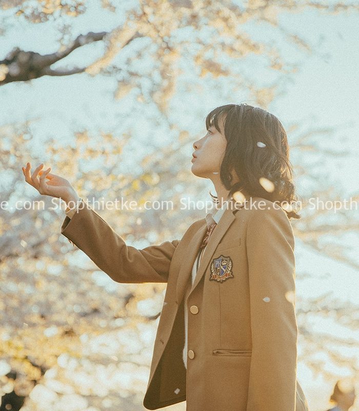 24 Tone Màu Film Retro Cổ Điển Phong Cách Tạp Chí Poco (XMP/DNG/CUBE)