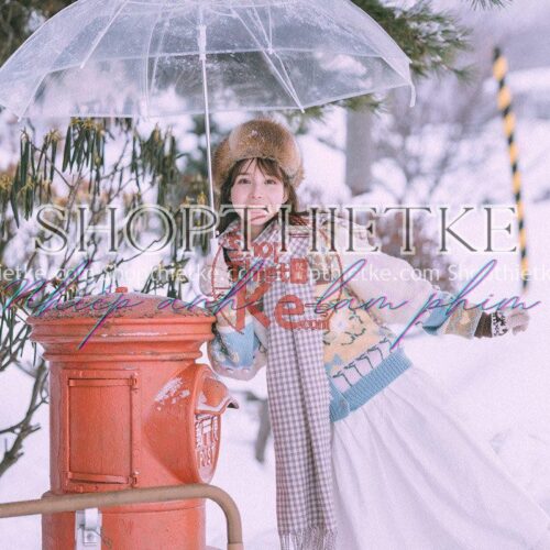 15 Tone Màu Ảnh Chân Dung Thích Hợp Ảnh Chụp Tuyết, Ảnh Mùa Đông (XMP/LR/DNG/CUBE)