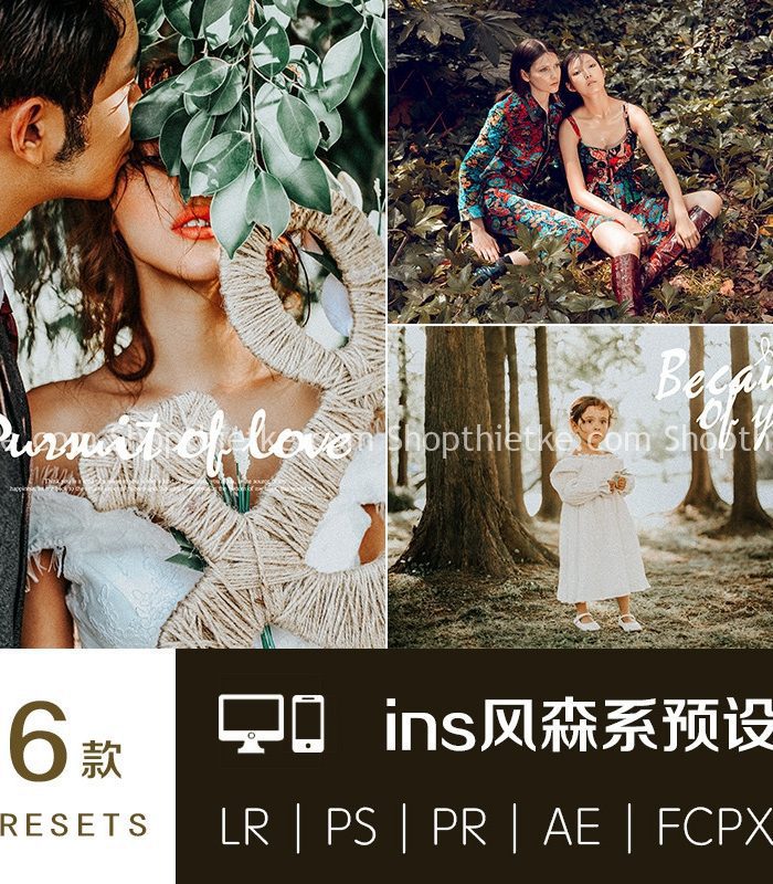 06 Tone Màu Lấy Cảm Hứng Từ Màu Nâu Núi Rừng, Thích Hợp Ảnh Phong Cảnh, Chân Dung (LR/XMP/DNG/CUBE)