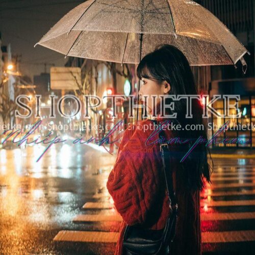 20 Tone Màu Phong Cách Nhật Bản Thích Hợp Ảnh Chụp Chân Dung Ban Đêm (XMP/LR/DNG/CUBE)