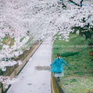 09 Tone Màu Thích Hợp Ảnh Xuân – Hạ – Thu Phong Cách Nhật Bản (XMP/DNG/CUBE)