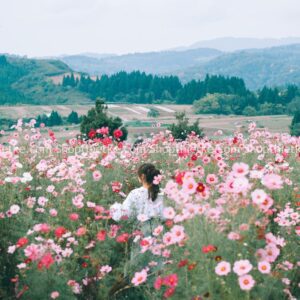 09 Tone Màu Thích Hợp Ảnh Xuân – Hạ – Thu Phong Cách Nhật Bản (XMP/DNG/CUBE)