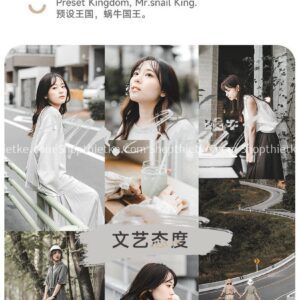 11 Tone Màu Film Đà Lạt Cực Đẹp Đến Từ China TaoBao Đủ Định Dạng (XMP/LR/DNG/CUBE)