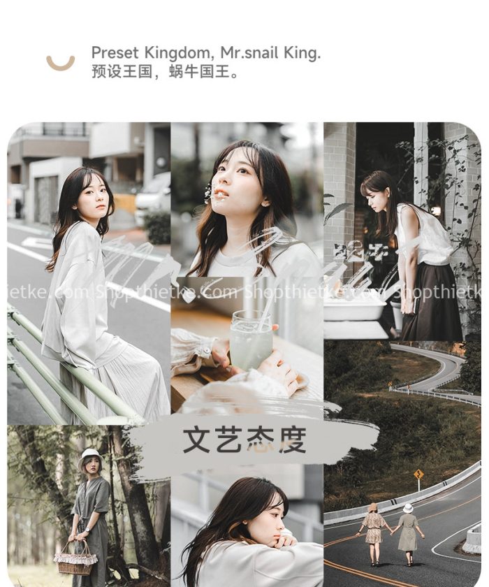 11 Tone Màu Film Đà Lạt Cực Đẹp Đến Từ China TaoBao Đủ Định Dạng (XMP/LR/DNG/CUBE)