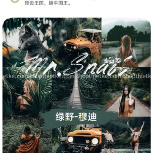 11 Tone Màu Film Núi Rừng - Làm Nổi Bật Màu Xanh Đen Green Field Moody (XMP/LR/DNG/CUBE)