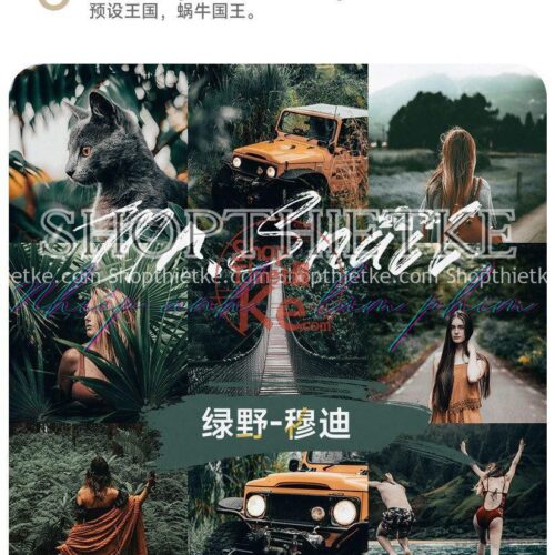 11 Tone Màu Film Núi Rừng - Làm Nổi Bật Màu Xanh Đen Green Field Moody (XMP/LR/DNG/CUBE)