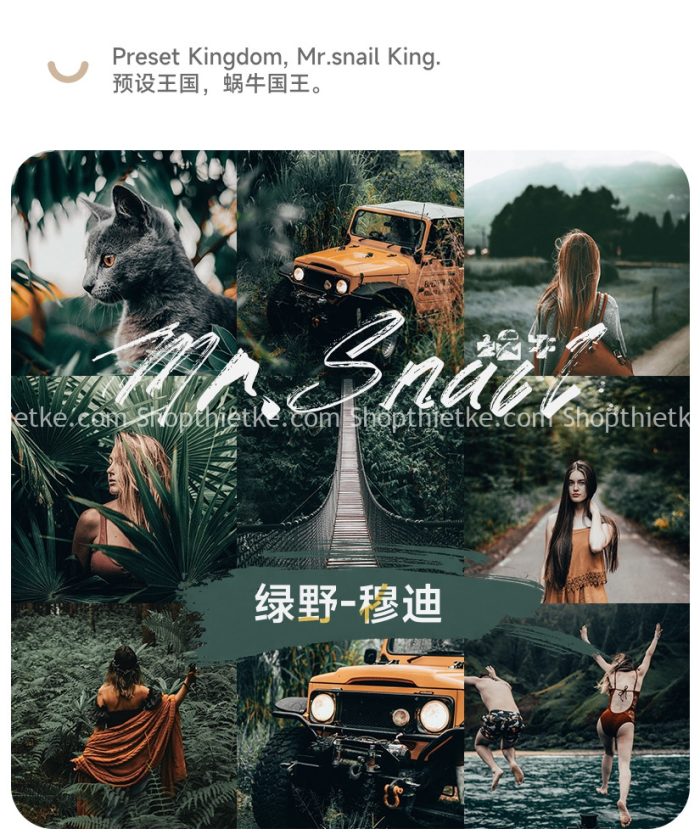 11 Tone Màu Film Núi Rừng - Làm Nổi Bật Màu Xanh Đen Green Field Moody (XMP/LR/DNG/CUBE)