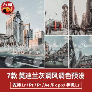 07 Tone Màu City Morandi Grey Ấn Tượng Cho Ảnh Phong Cảnh (XMP/LR/CUBE)