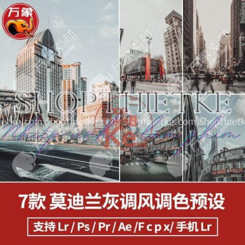 07 Tone Màu City Morandi Grey Ấn Tượng Cho Ảnh Phong Cảnh (XMP/LR/CUBE)