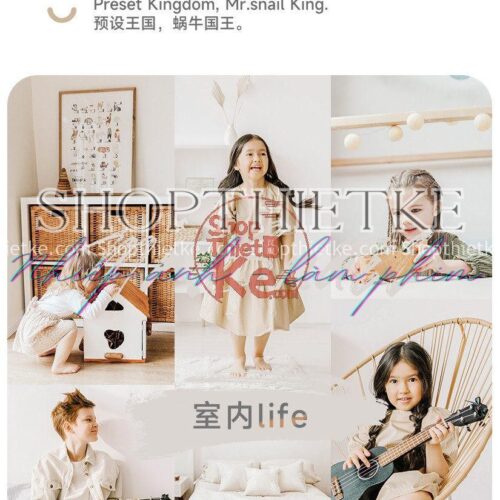 08 Tone Màu Nâu Nhẹ Trong Sáng Thích Hợp Ảnh Chụp Trong Nhà (XMP/LR/DNG/CUBE)