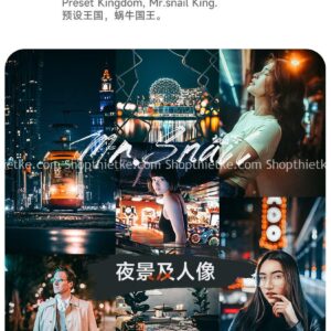 20 Tone Màu Ấn Tượng Cho Ảnh Chân Dung Và Chụp Đêm (XMP/LR/DNG/CUBE)