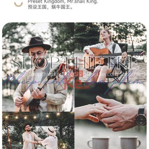 05 Tone Màu Film Thích Hợp Chụp Ảnh Rừng Thông Đà Lạt (XMP/LR/DNG/CUBE)