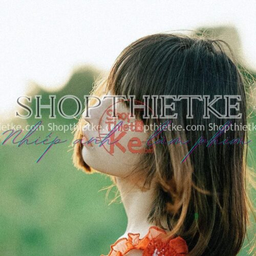 28 Tone Màu Fuji Nhật Bản Âm Bản Cổ Điển Thích Hợp Ảnh Mùa Xuân 2023 (XMP/CUBE)