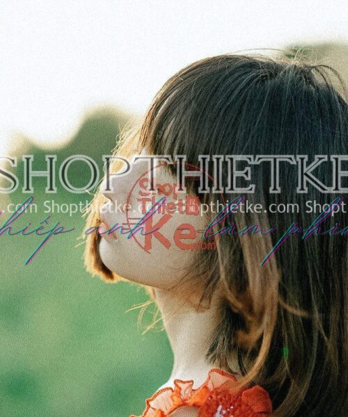 28 Tone Màu Fuji Nhật Bản Âm Bản Cổ Điển Thích Hợp Ảnh Mùa Xuân 2023 (XMP/CUBE)