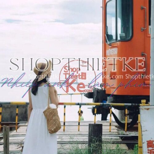 28 Tone Màu Fuji Nhật Bản Âm Bản Cổ Điển Thích Hợp Ảnh Mùa Xuân 2023 (XMP/CUBE)