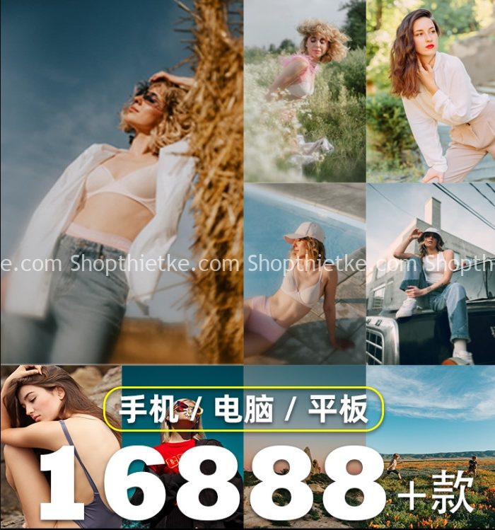223 Bộ Màu Taobao Với Hơn 16888 Preset Đủ Thể Loại Ảnh Cho Bạn Chỉnh Sửa (XMP/LR/CUBE)