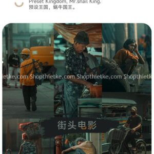 29 Tone Màu Film Công Nghiệp Bụi Bậm Thích Hợp Ảnh Chụp Đường Phố (XMP/LR/DNG/CUBE)