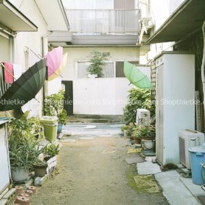 08 Tone Màu Nhật Bản Trong Veo Thích Hợp Ảnh Mùa Hè Phong Cách Hamada Hideaki 2023 (XMP/DNG)