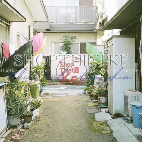 08 Tone Màu Nhật Bản Trong Veo Thích Hợp Ảnh Mùa Hè Phong Cách Hamada Hideaki 2023 (XMP/DNG)